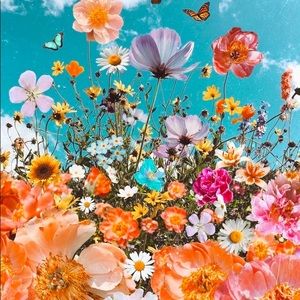 Meet your Posher, Meg